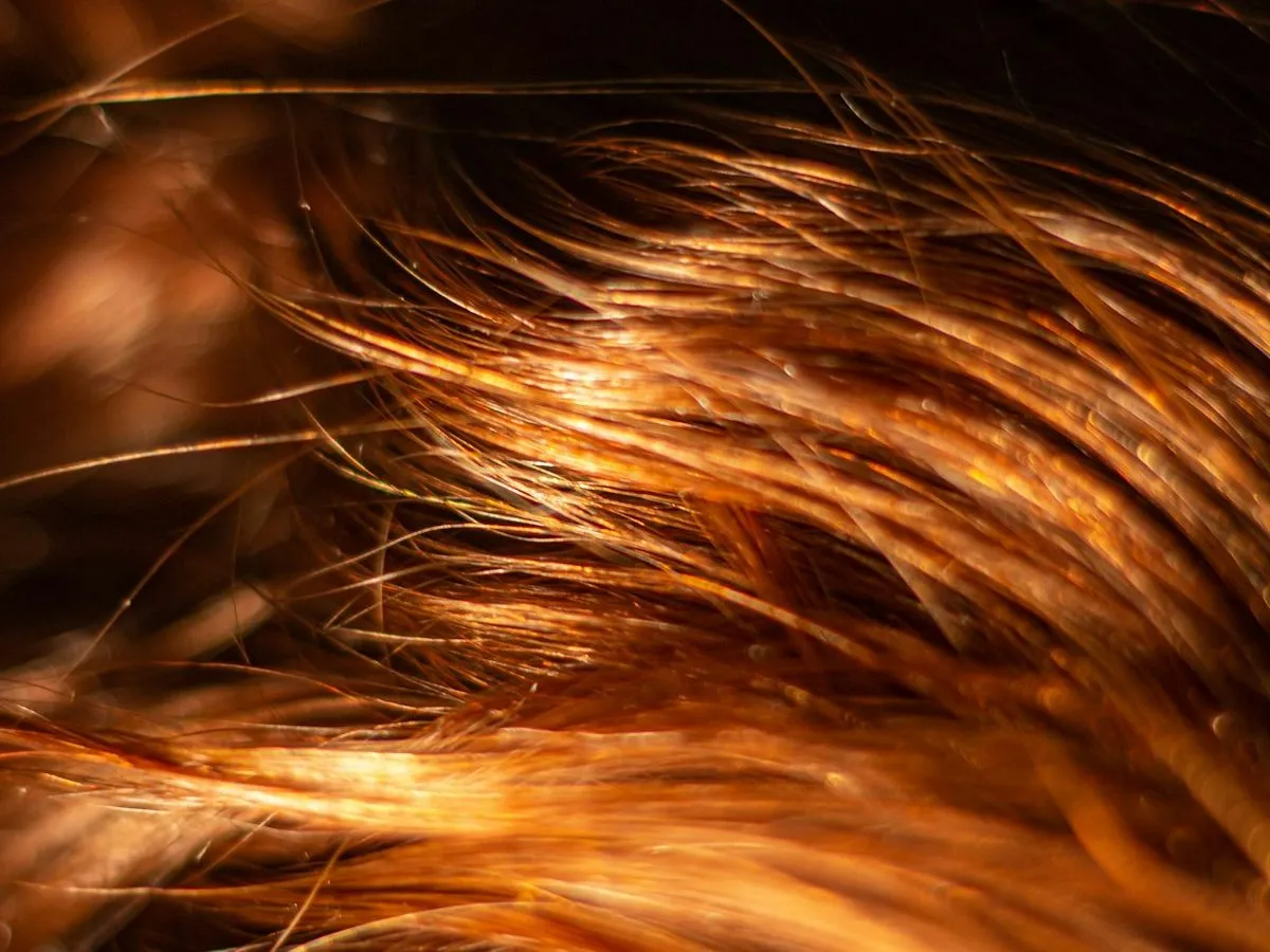 Balayage oliva cobriza — Balayage & Color en Bruma Salón & Atelier